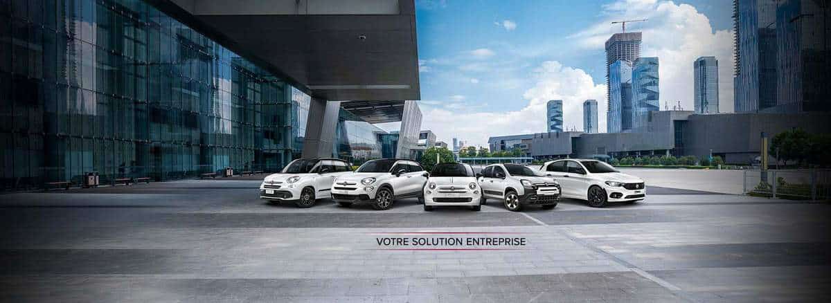 Fiat Business entreprise